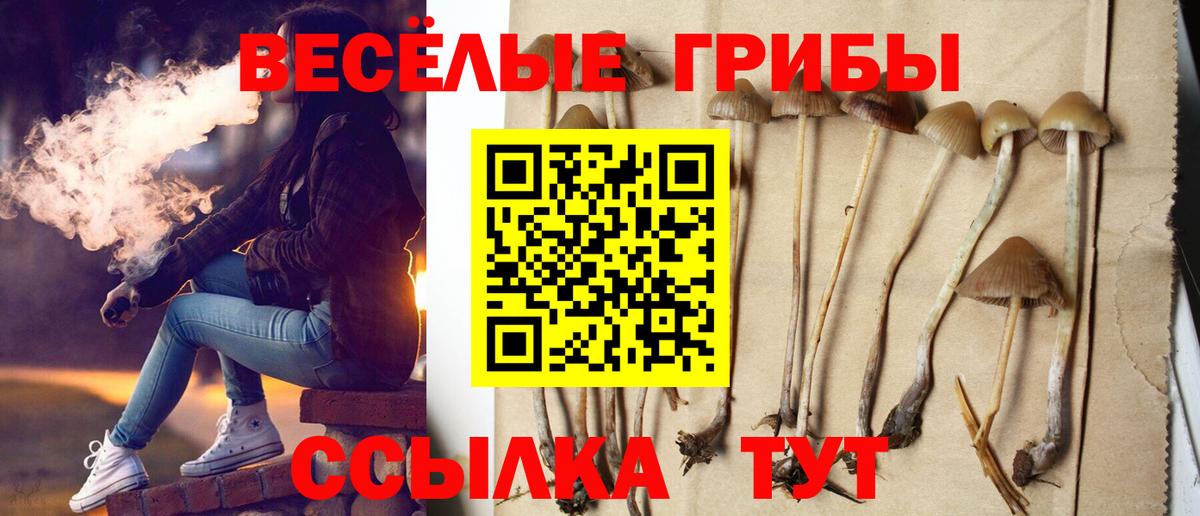 Галлюциногенные грибы прущие грибы  Вход с VPN  Галлюциногенные грибы Psilocybine cubensis  Лангепас 